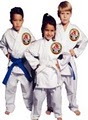 Westlake Taekwondo Plus logo