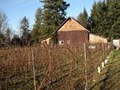 Whidbey Island Winery image 3