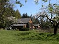 Whidbey Island Winery image 8