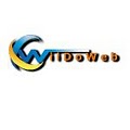 WiiDoWeb logo