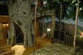 Wildwood Inn - Tropical Dome & Theme Suites image 4