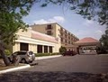 Wyndham Garden Hotel - McAllen image 6