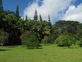 Your Hawaiian Retreat image 3