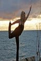 Your Yoga Lifestyle, LLC image 5