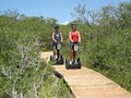 Zegway by the Bay - Guided Segway PT tours on Anna Maria Island, Florida image 3