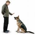 A Better Dog Trainer image 2