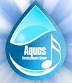 AQUOS Entertainment Group, LLC image 5