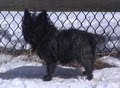 Absaroka Pet Ranch, Inc. image 10