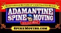 Adamantine Spine Moving image 3