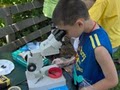 Akron Fossils & Science Center image 3