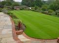 All Green Lawn Care image 3