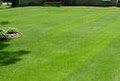 All Green Lawn Care image 4