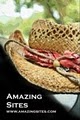 Amazing Sites image 1