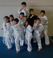 American Institute if Korean Martial arts,( AIOKMA) of  Strouds fitness image 3