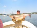 American Sportfishing Charters image 2