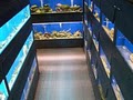 Anchor Bay Aquarium image 3