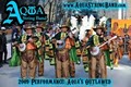 Aqua String Band - Philadelphia Mummers image 3