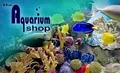Aquarium Shop image 2