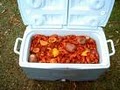 Arkansas' Best Crawfish image 2