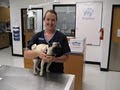 Banfield, The Pet Hospital image 6