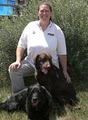 Bark Busters Home Dog Training image 1