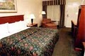 Best Western Mountain Brook image 5