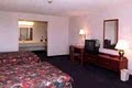 Best Western The Inn of Old Vincennes image 5