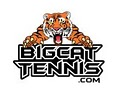 Big Cat Tennis Stringing logo