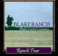 Blake Ranch Qtr. Horses & Paints logo