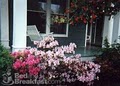 Blooming Garden Inn Bed & Breakfast image 9