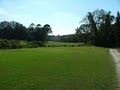 Blue Cypress Golf Club and Comstock Golf School logo