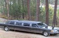 Blue Moon Limousine image 4