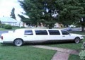 Blue Moon Limousine image 5