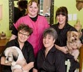 Blue Ribbon Pet Salon logo
