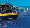 Blue Sea Cruises Inc image 2
