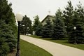 Bluestem Landscaping and Tree Farm/Vineyard image 8