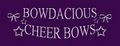 Bowdacious Cheer Bows logo