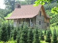 Boyd Mountain Log Cabins image 1