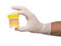 Bronx Drug Testing - Health Street image 2