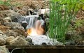 Brookside Garden, Water Garden Center image 3