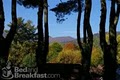 Brookside Mountain Mist B & B image 3