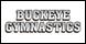 Buckeye Gymnastics: Westerville-Lewis Center-New Albany-Sunbury logo