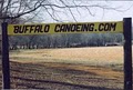 Buffalo Canoeing & Campground image 2