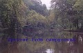 Buffalo Canoeing & Campground image 4