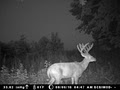 Buffalo County Bucks Inc. image 4