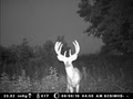 Buffalo County Bucks Inc. image 5