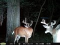 Buffalo County Bucks Inc. image 9