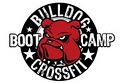 Bulldog Bootcamp Co logo