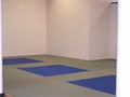 Bushido Jiu-Jitsu Academy image 1