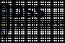 Business Support Services NW LLC logo